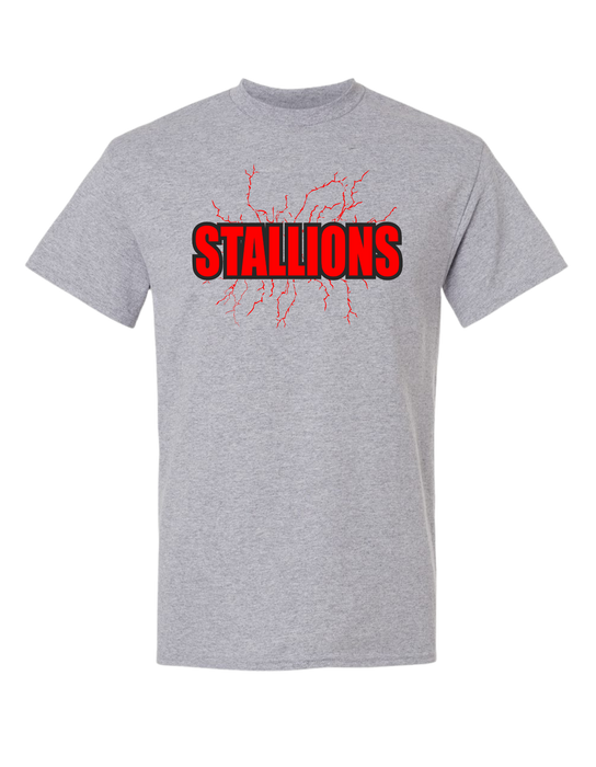 South Pointe High School T-Shirt
