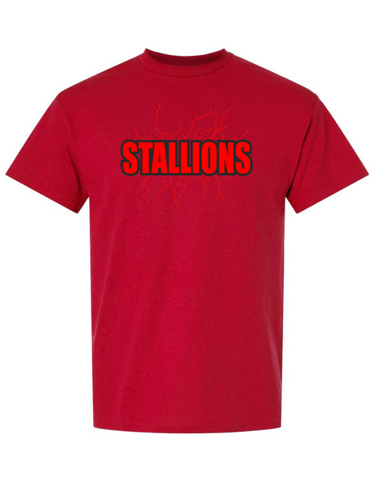 South Pointe High School T-Shirt