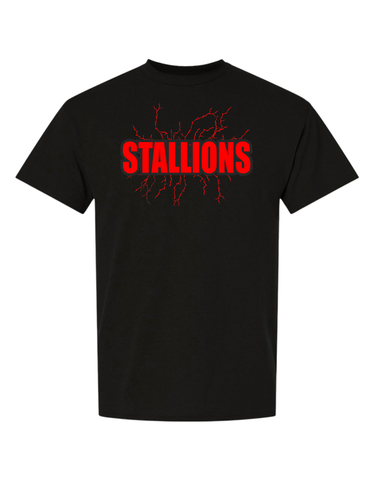 South Pointe High School T-Shirt